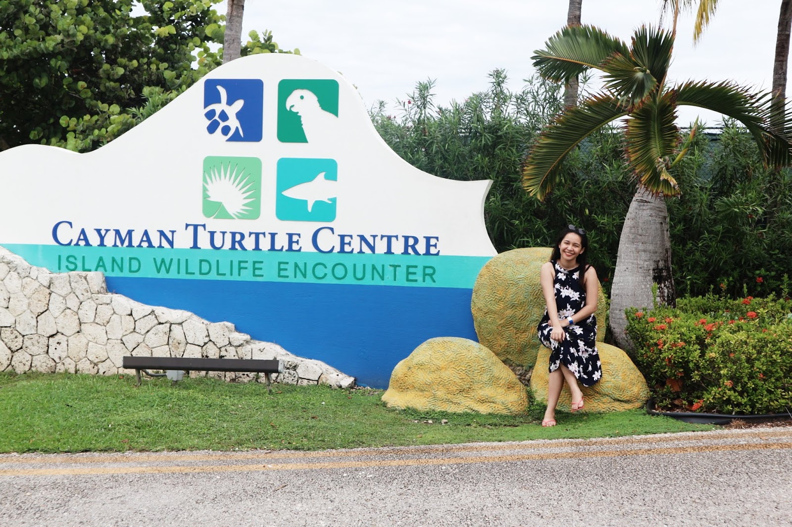 Cayman Turtle Centre