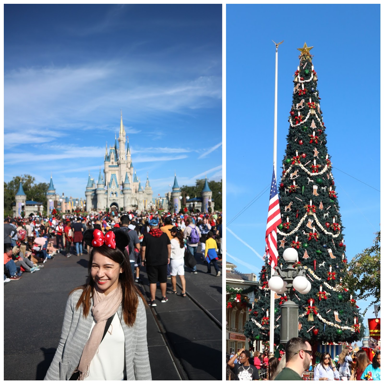 Walt Disney World