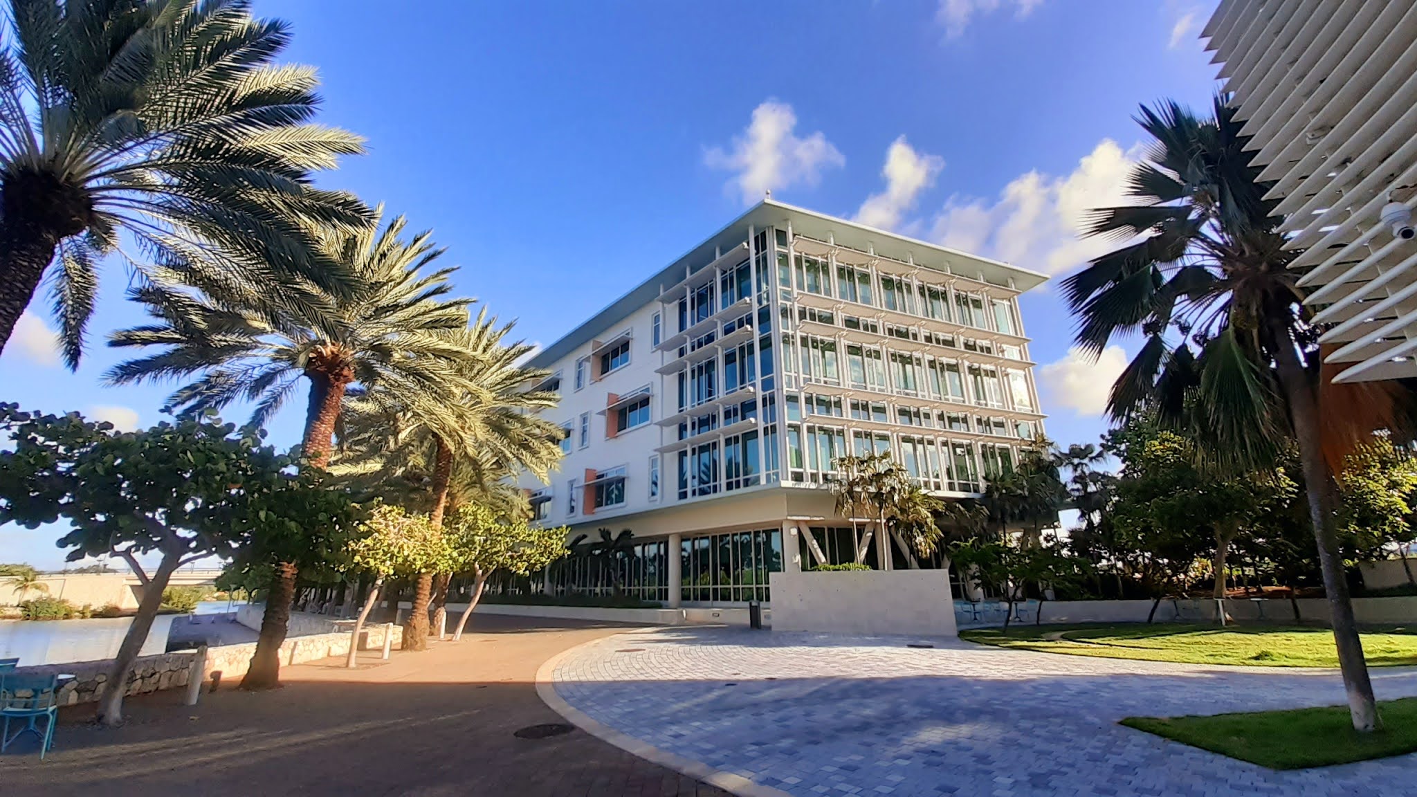 Discover Camana Bay