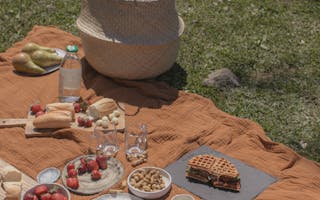 A cozy picnic setup on a blanket with fruits, bread, waffles, and drinks outdoors.