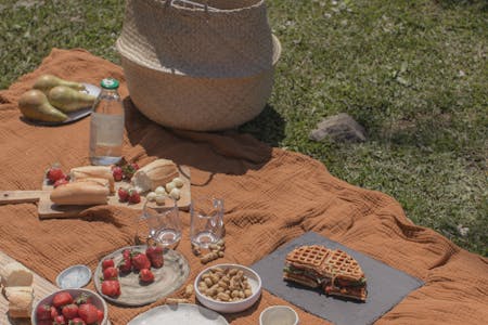 A cozy picnic setup on a blanket with fruits, bread, waffles, and drinks outdoors.