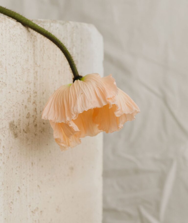 Chemtrails Over the Country Club