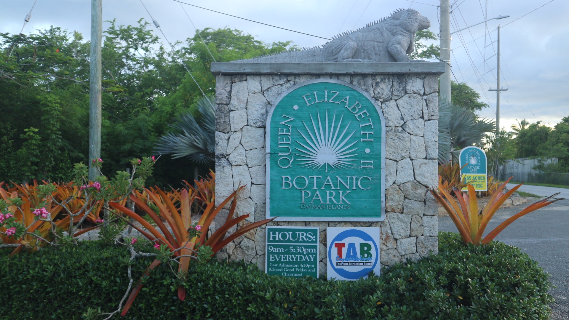 botanic park, flowers, photography, cayman islands